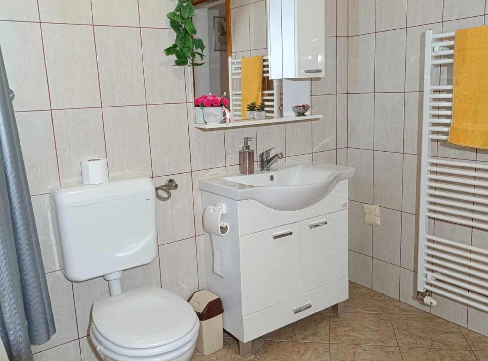 Apartmani Tea I Toni Gradiste Exterior photo